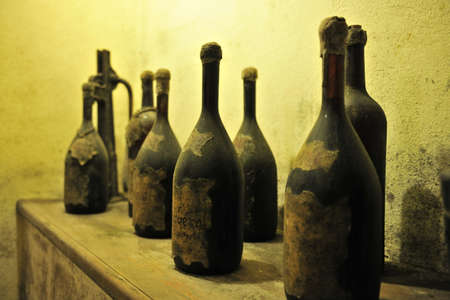 The Autumn period of the grape harvest and of the Wine offer unforgettable scenes. Places of grape...
