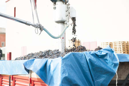 The Autumn period of the grape harvest and of the Wine offer unforgettable scenes. Places of grape harvest and wine processingの写真素材