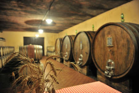 The Autumn period of the grape harvest and of the Wine offer unforgettable scenes. Places of grape...