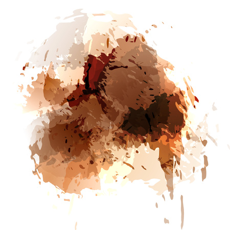 Browh contemporary splatter background template abstract card layout design. Vector illustrationのイラスト素材