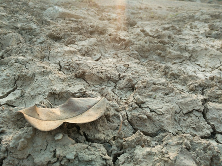 dry groundの写真素材