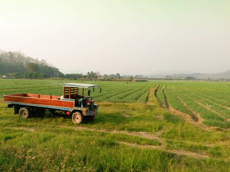 Truck for farm in thailandの写真素材