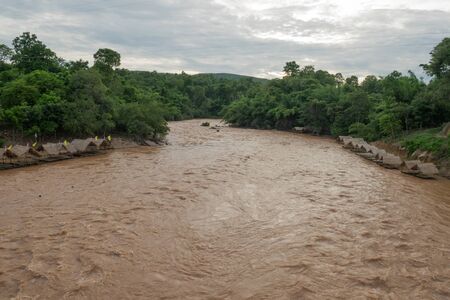 Bamboo Raft  on Muddy water flowing in the river  in  during rainy seasonの写真素材