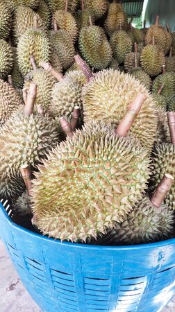 Durian is in the basket.