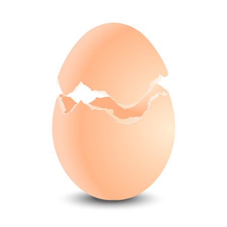 Broken egg shell. Vector illustration.のイラスト素材
