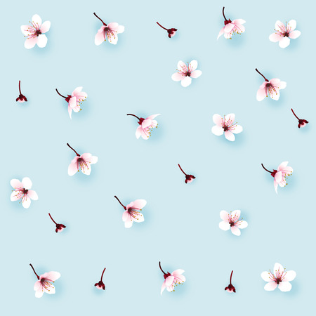 Cherry blossom, sakura flowers falling on sweet blue background. Vector illustration.のイラスト素材