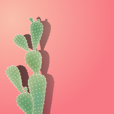 Cactus with shadow on the coral color wall. Cactus are succulents can live in extremely dry and hot environments. Vector illustration.のイラスト素材