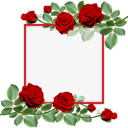 Realistic red hot rose flower, bouquet of red hot roses with leaves decorated on a frame. Vector illustration.のイラスト素材