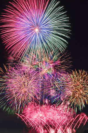 Fireworks display festival ath Showa national park