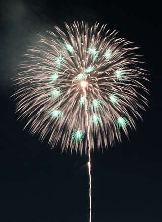 Fireworks display festival ath Showa national parkの写真素材