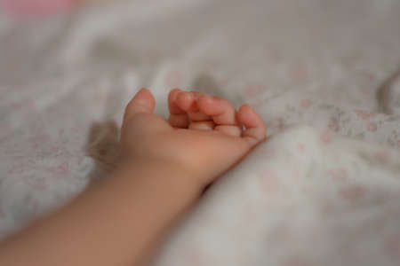 Baby's pretty small handの写真素材