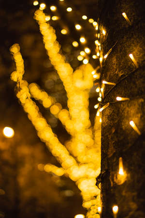 Illuminated Christmas lights around Shinjuku