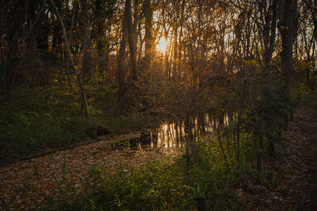 Autumn landscape background.