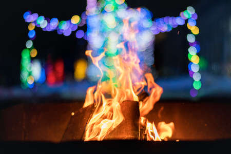 Illuminated park before new year's coming