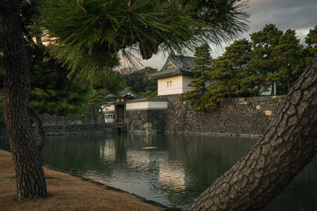 Edo Castle Sakurada Pass dyed by the sunsetのeditorial素材