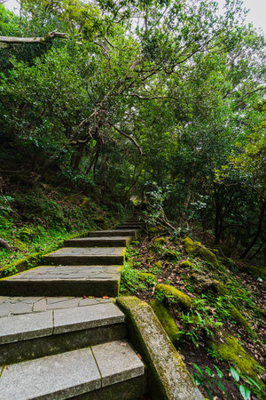 The Trail of Mt. ChibaKogiriの写真素材