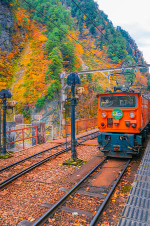 Autumn scenery from the window of kurobe gorge railway minecart trainのeditorial素材