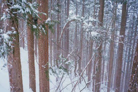 Hell Valley in The Snowy Winterの写真素材