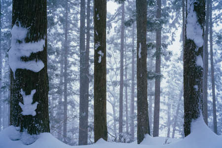 Hell Valley in The Snowy Winterの写真素材