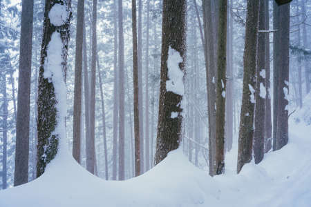 Hell Valley in The Snowy Winterの写真素材