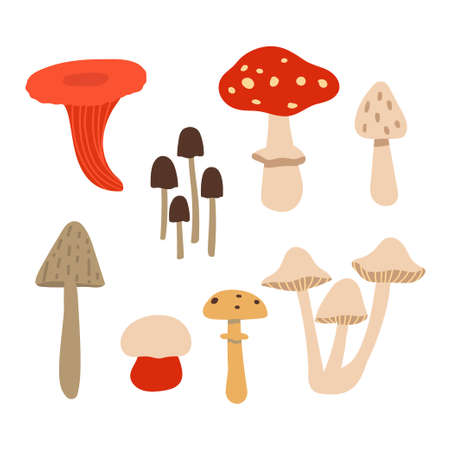 Set of poisonous mushrooms isolated on white background. Vector illustration in the style of flat.のイラスト素材