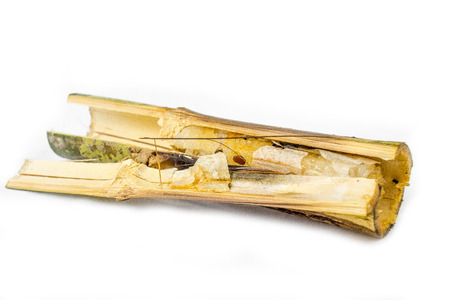 Sweet sticky rice in bambooの写真素材