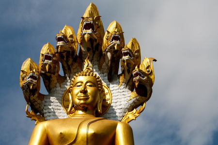 attitude of the buddhaの写真素材