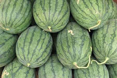 Big green torpedo watermelon. It is oval shape with red color inside. Stacked in layers, looks beautiful.の写真素材