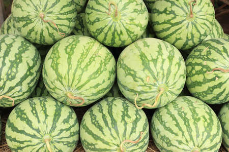 Big round green watermelon. Stacked in layers, looks beautiful.