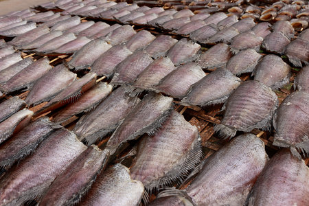 Single sunshine dried fish made from gourami fish, Put orderly in sunlight on bamboo table.