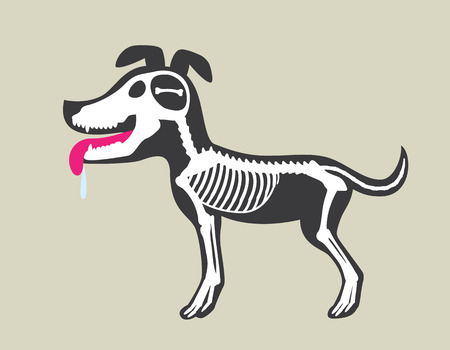 The dog with a bone instead of brains, limited thinkingのイラスト素材
