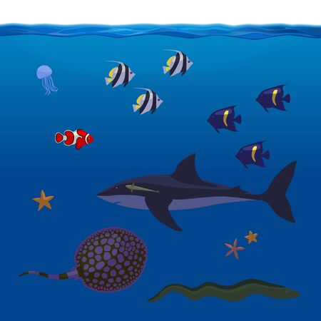 Underwater Inhabitants Sea Life Part 2のイラスト素材