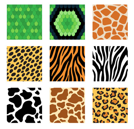 Set of seamless pattern of animal skinsのイラスト素材