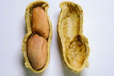 Peanuts isolated on the white background. Close up.
