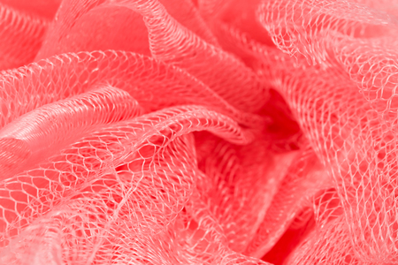 closeup beautiful bath sponge