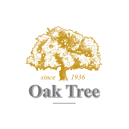 Oak Tree Logoのイラスト素材
