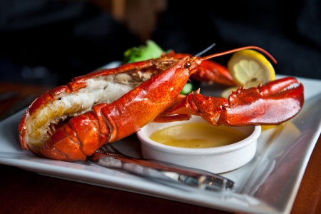 Fresh grilled lobster with vegetablesの写真素材