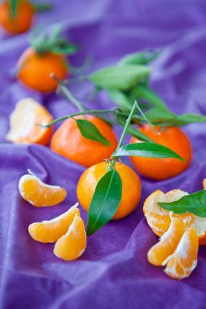 Fresh clementines on purpleの写真素材