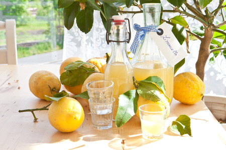 Homemade limoncello made from ripe organic lemonsの写真素材