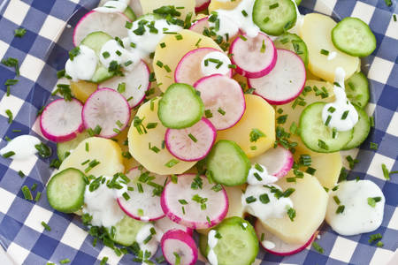Potato salad with fresh cucumbers and radishesの写真素材