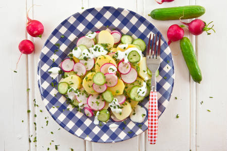 Potato salad with fresh cucumbers and radishesの写真素材