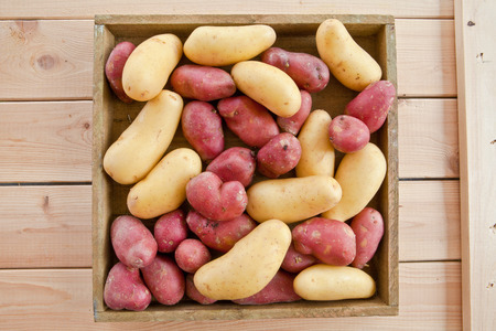 Variety of potatoes in rustic wooden crateの写真素材