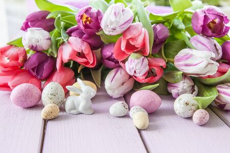 Fresh colorful tulips on purple wooden backgroundの写真素材