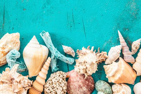 Weathered wooden background with various sea shells