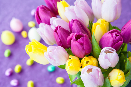 Bouquet of fresh tulips on purple background