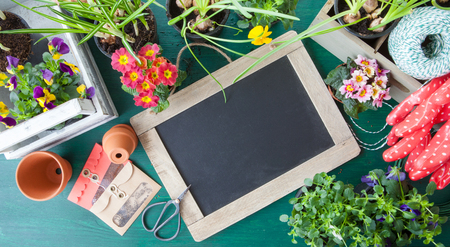 Planting a variety of flowers in spring timeの写真素材