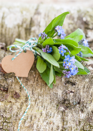 Little bouquet of forget-me-nots on rustic birch woodの写真素材
