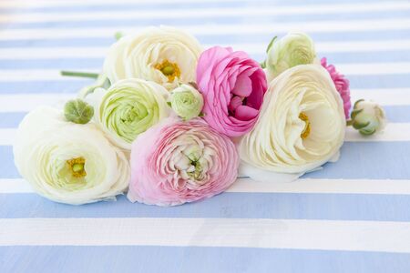 Wooden background with stripes and colorful ranunculus