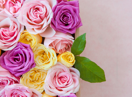 Fresh roses in different colors as a backgroundの写真素材