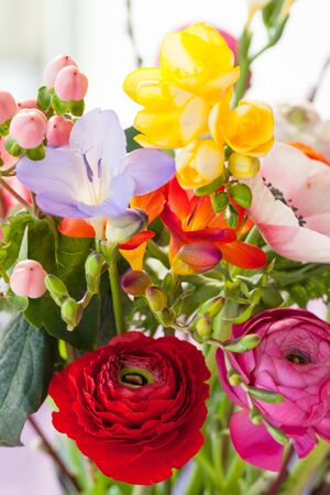 Variety of colorful blooming spring flowersの写真素材